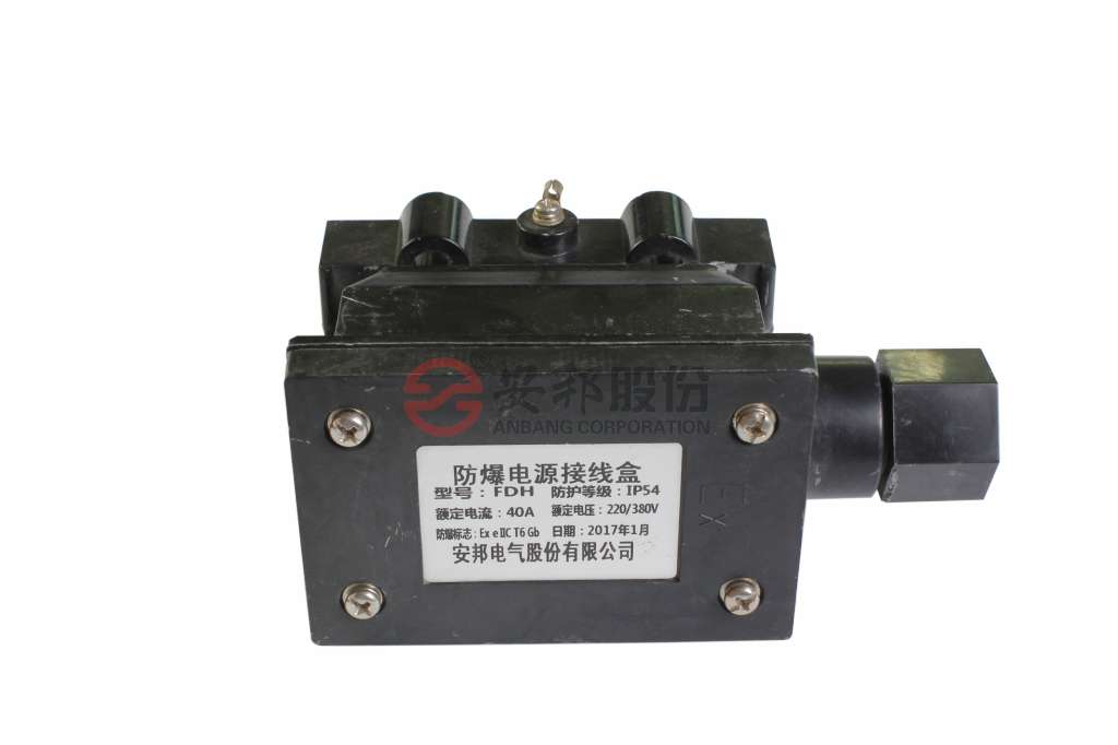 电伴热带电源接线盒的安装方法(图1) _MG_9340.jpg